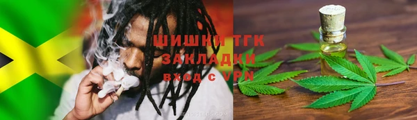 хмурый Осинники