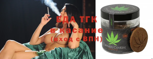хмурый Осинники