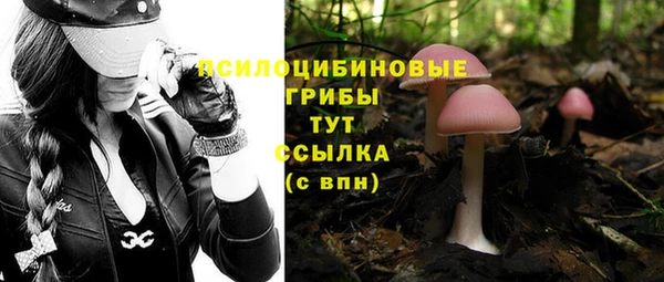 хмурый Осинники