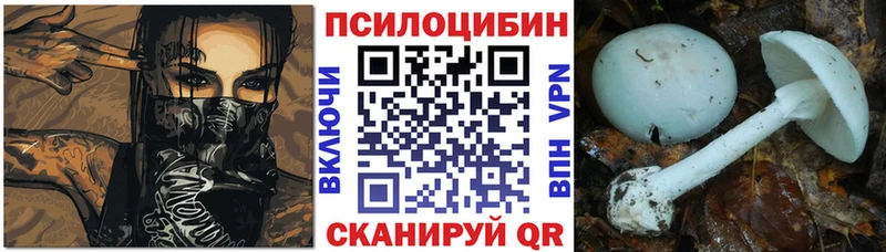 darknet как зайти  Печоры  Галлюциногенные грибы MAGIC MUSHROOMS 